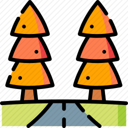 路