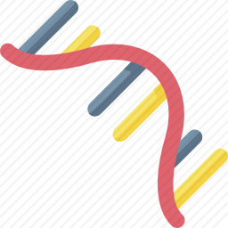 RNA