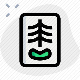 X射线