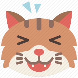 开心的猫咪
