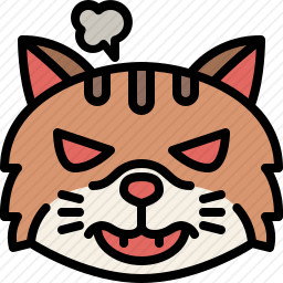 愤怒的猫咪
