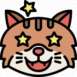 兴奋的猫咪