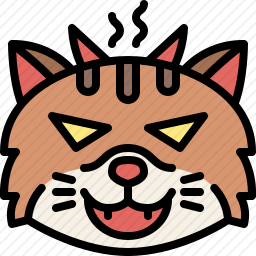 猫咪