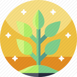 <em>植物</em>