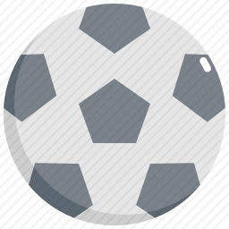 <em>足球</em>