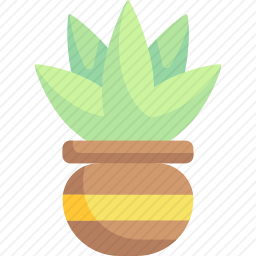 盆栽植物