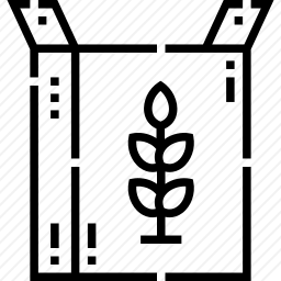 <em>谷物</em>