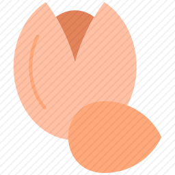 开心果