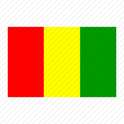 <em>几内亚</em>