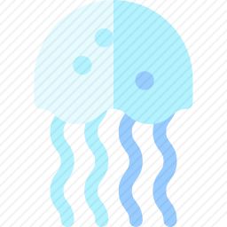 水母