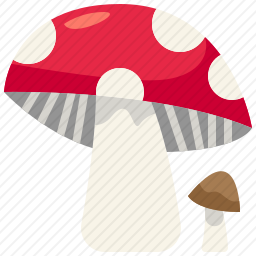 蘑菇