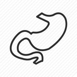 胃
