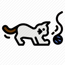 逗猫