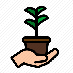 植物