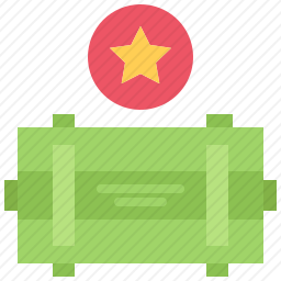 <em>军事</em>物资