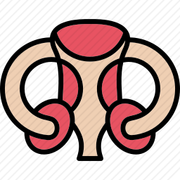 子宫