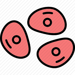 细胞