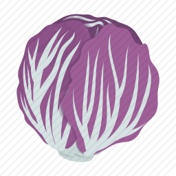 <em>白菜</em>