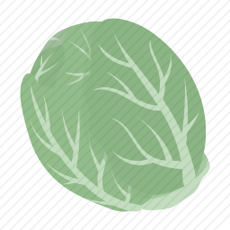 <em>白菜</em>