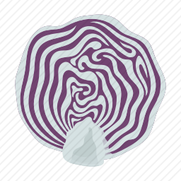 <em>白菜</em>