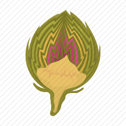 <em>白菜</em>