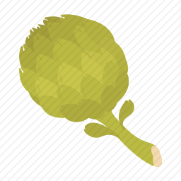 <em>白菜</em>