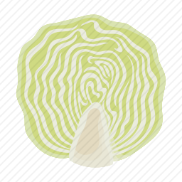<em>白菜</em>