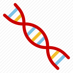 DNA