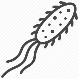 微生物