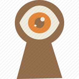 查看