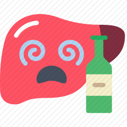 肝脏