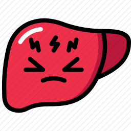 肝脏