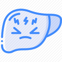 肝脏