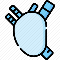 <em>心脏</em>
