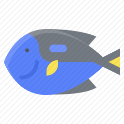 鱼
