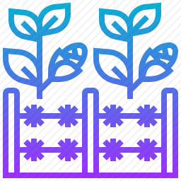 <em>农作物</em>