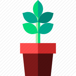 植物