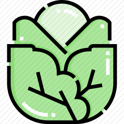<em>白菜</em>