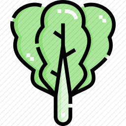 <em>生菜</em>