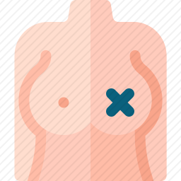 乳房