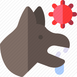 <em>狂犬病</em>