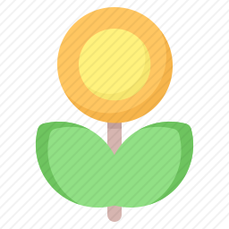 植物