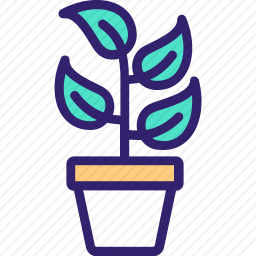 植物