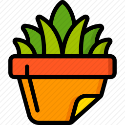 植物