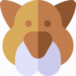 <em>狗</em>