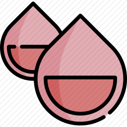 <em>贫血</em>