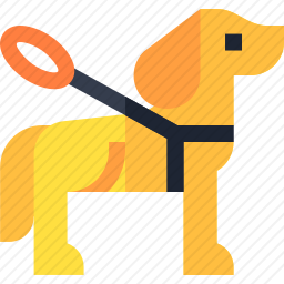 导盲犬