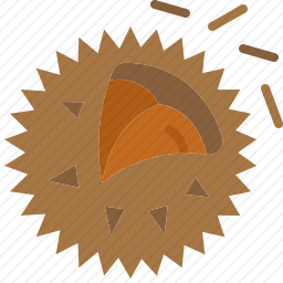 <em>板栗</em>