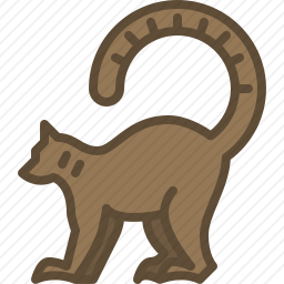 狐猴