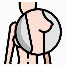 乳房